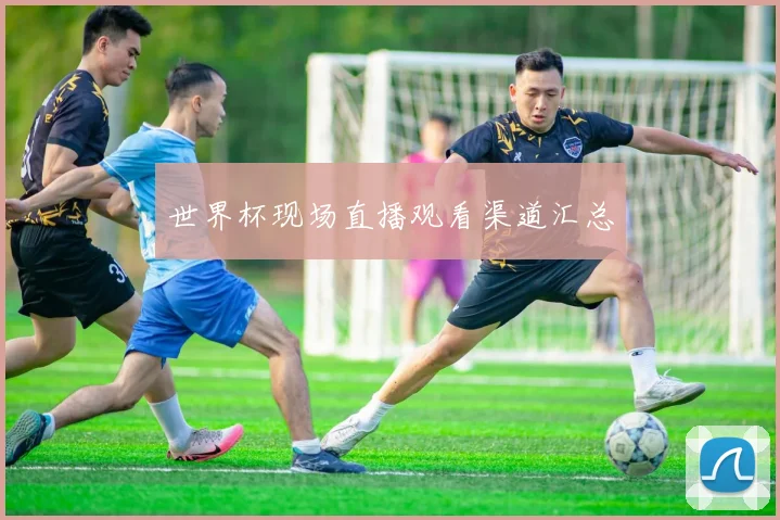 世界杯现场直播观看渠道汇总