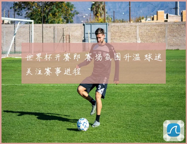 世界杯开赛即 赛场氛围升温 球迷关注赛事进程