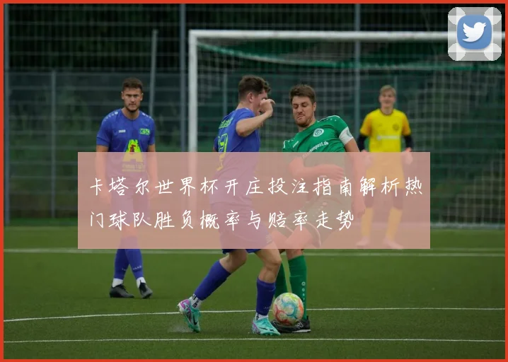 卡塔尔世界杯开庄投注指南解析热门球队胜负概率与赔率走势
